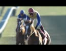 デルタブルースとカンパニーのレース予想【1】～AJCCの展望～