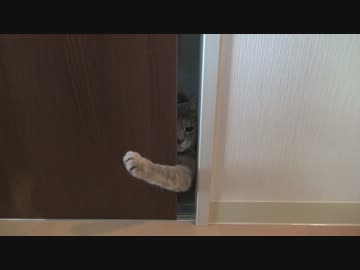 モアレとクリエ 「て」