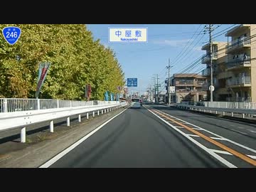 国道246号線(5/9) 伊勢原