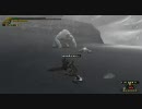 【MHF】俺とタツボウ08　対ドドブラ2/2