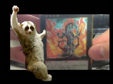 遊戯王フラゲ開封動画　ゴールドシリーズ２０１３　明けまして