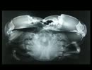 ガンダムバトルオペレーション字幕実況⑨蟹都市