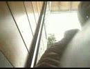 2013/1/3　地吹雪実況？！