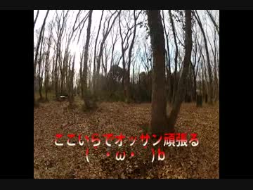 【ゆっくり】サバゲーで頑張ってみた＿02話【2013/1/5】