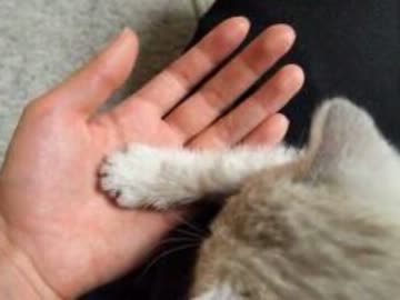 ひだまり　大野雄介