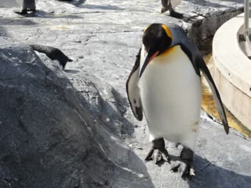 【日本100名城】そうだ、旅に出よう！車で日本一周〖15日目〗