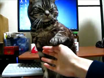 もふ拒否番外編