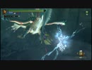 【MH3GHD】チャレンジクエスト02 狩猟笛 S6'02