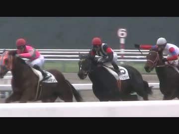 競馬場の養分【第60回日経新春杯】
