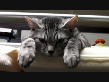 うとうと
