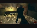 生きる強さを知る【CoD:BO2】Part4