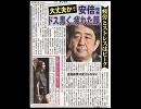 日刊ゲンダイ発狂（笑）「安倍＝ヒトラー、ネット右翼＝ゲシュタポ。」
