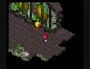 スーパーごちゃマリオＲＰＧ その２０