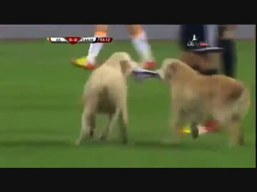 サッカーの試合中、複数の乱入者に会場騒然