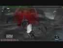 【MHF】覇種ドラギュロスハンマーソロ　14ラスタ