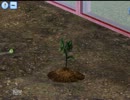 【Sims3】レジェンド・オブ・ヒッキー Part5【外出縛り】