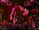 LUNA SEA      CIVILIZE