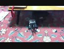 猫とマインドストーム