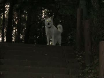 デジカメしか無いけど車載動画作ってみた 　犬載
