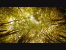 【作業用BGM】TRANCE　MIX　No.004【トランス】