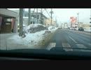 成人の日の実況車載動画 Part1