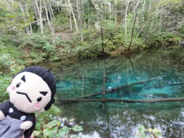 【日本100名城】そうだ、旅に出よう！車で日本一周〖18日目〗