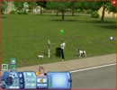 【もそもそ実況】Sims３実況プレイ２part25