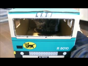 ツンギレのうちの猫がクロネコヤマトを実写化