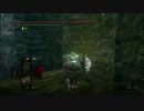 [DARK SOULS]【NPC】ドーナルさんは馬鹿【殺害】