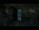 【ささやき声】紫陽花歌ってみた【東海郁乃】