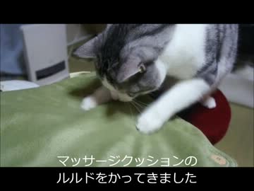 ツンギレのうちの猫がマッサージ器にビビリまくり