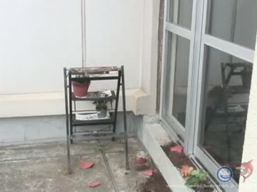 植木鉢を壊されガチギレおじさん.mp4