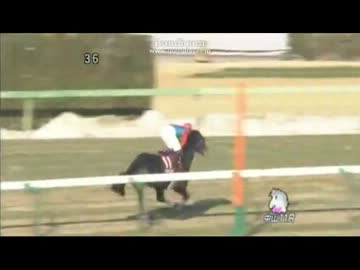 2013/01/20 第54回 アメリカジョッキークラブカップ