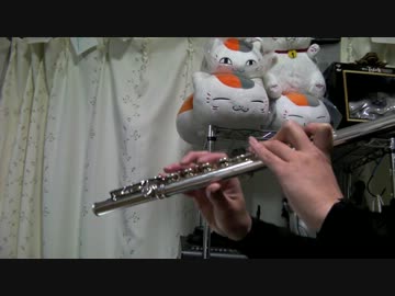 【フルート】ZektbachのBlind Justiceを吹いてみた