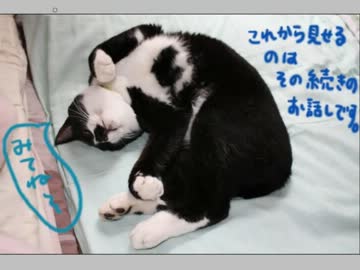 大型自動二輪教習はじめました。part7