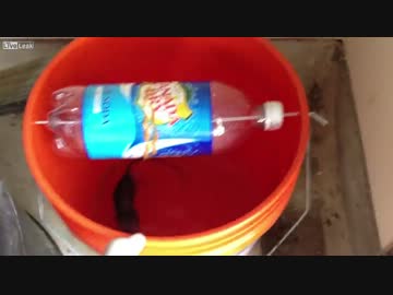 自作したネズミ駆除装置に獲物がかかったｗｗｗ