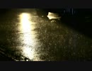 【現代音楽】ある音楽の時間　その2