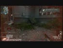 【字幕プレイ】ゴリラが戦場で処刑人を挑戦しむ　その7　【COD:BO2】