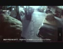 キョウダイサバゲ IN AGITO 2012/12/12 part4