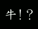 牛!?組手 その１