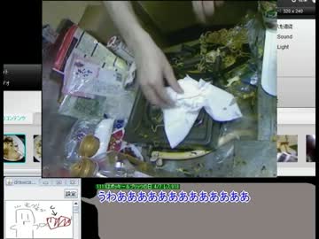 ヒロシマ風お好み焼き調理配信で起きた悲劇.mp4