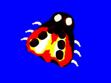 てんとう虫先輩BB