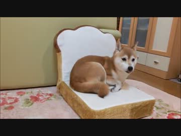 いちごの食パン掘り