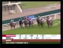 【世界の競馬場から】2006年仏1000ギニー　タイブラック