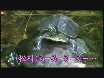 遠藤正明(e)-STYLE歌唱講座5「ランナーズハイ」編