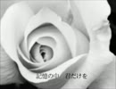 【NNI】White Rose【オリジナル】