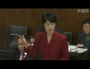 H25/01/24 参院農水・紙智子(共産)