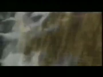 モリッシーのインタビューが　まるで俺等