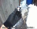 うら小隊サバゲー記_130119(AGITO)_03