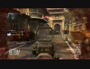 【FFA】COD:BO2　プレイ動画【Type 25】